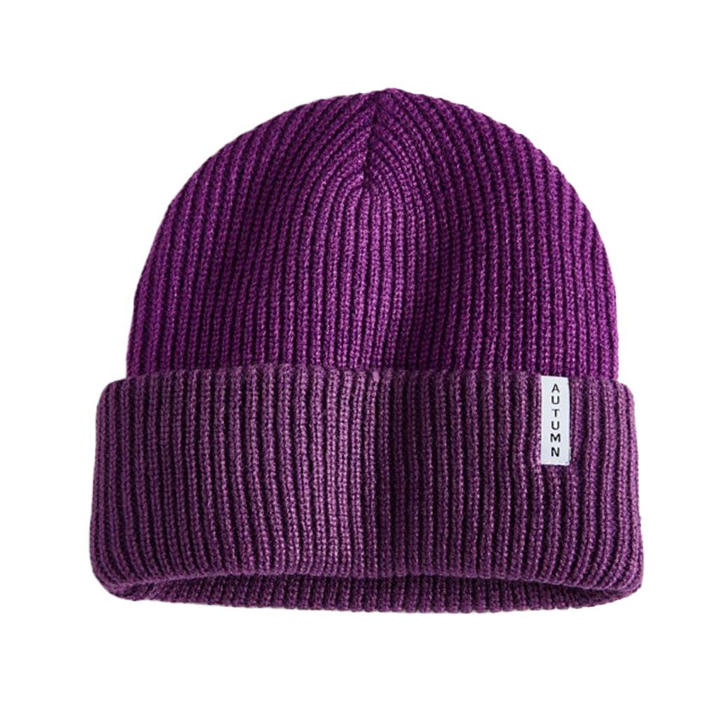 Autumn Youth Blocked Beanie - Eggplant